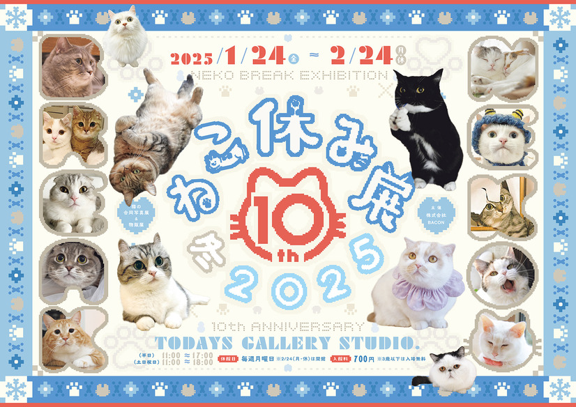 ねこ休み展 冬 2025