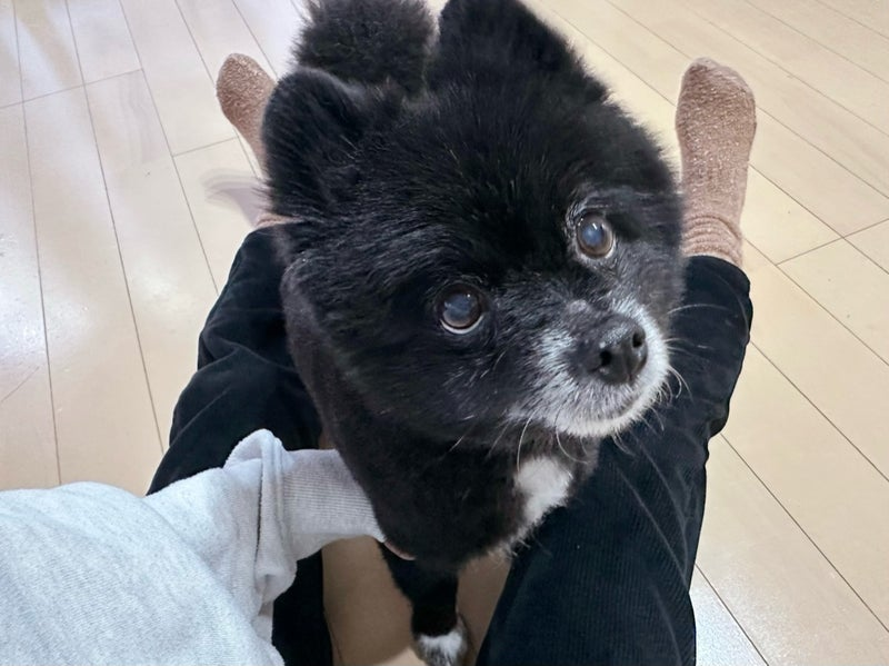 1月12日に川島菜月が投稿した画像（川島菜月オフィシャルブログより）