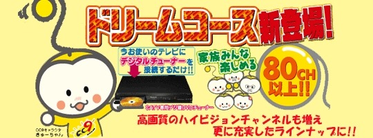 きゅーちゃんファミリー