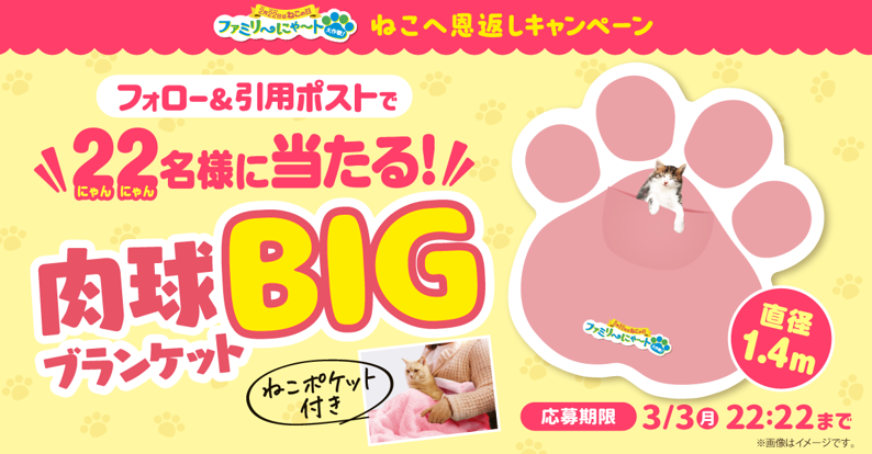 全長1.4m！ねこも入れる「肉球BIGブランケット」が当たる「ねこへ恩返し」キャンペーン