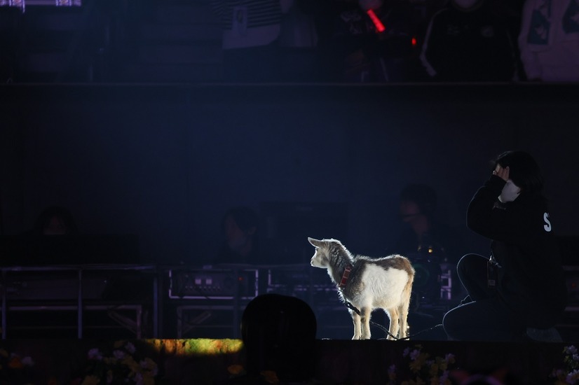 乃木坂46・与田祐希の卒業コンサート開催！大園桃子がサプライズ登場