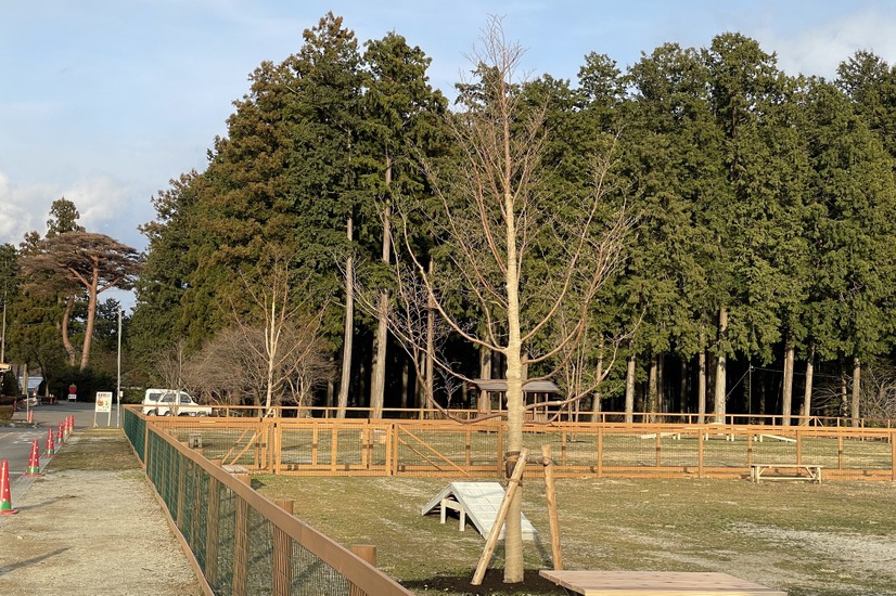 那須千本松牧場