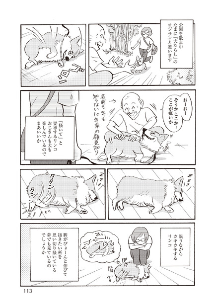 柴門ふみ『いつも犬が居た』（C）KADOKAWA