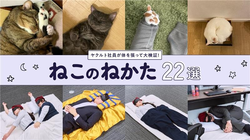 「『ねこのねかた』22選」