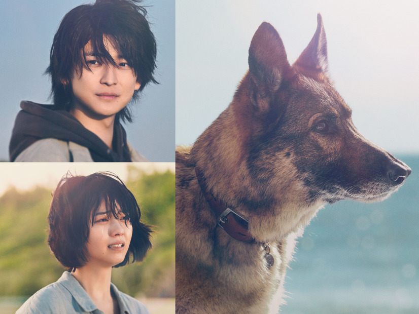 映画『少年と犬』　（C）2025映画「少年と犬」製作委員会
