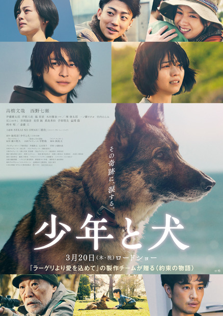 映画『少年と犬』　（C）2025映画「少年と犬」製作委員会