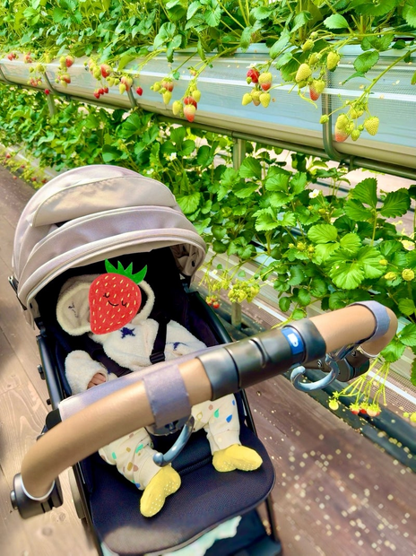 ベビーカーに乗った息子の様子（写真は小松彩夏の公式ブログから）