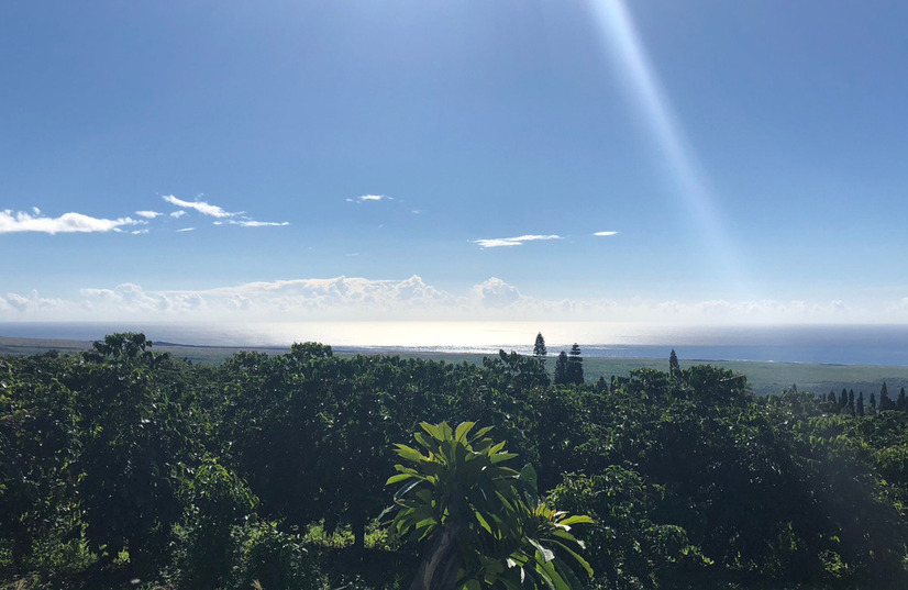 ハワイ風景