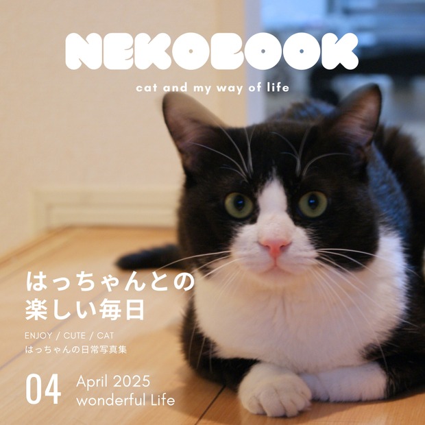 『ハチワレ猫 はっちゃん写真集』（令和出版）