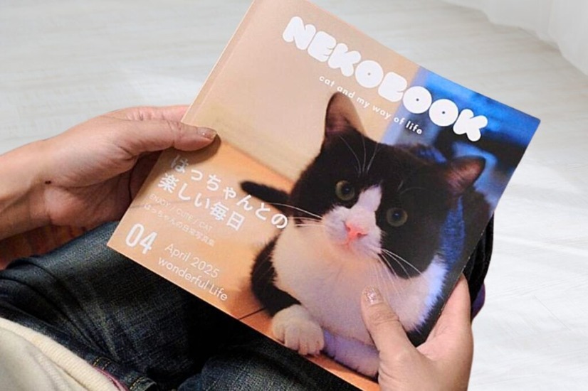うちのこ写真集　表紙イメージ