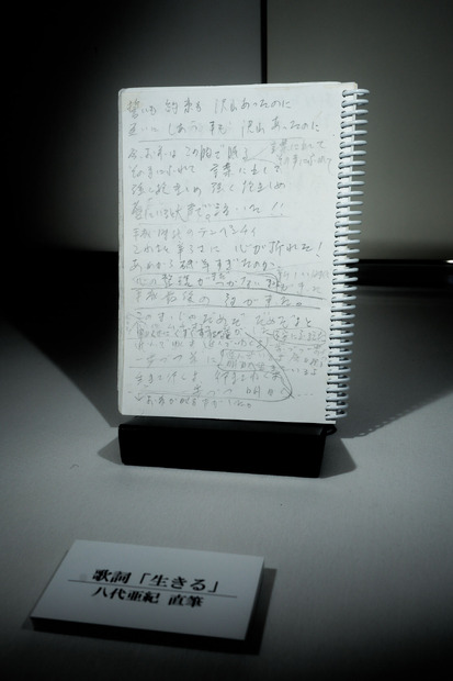 八代亜紀さんの回顧展「生きる～ありがとう・・・これからも～」