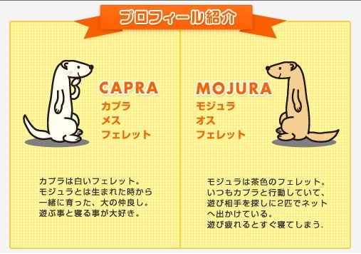 モジュラ＆カプラ