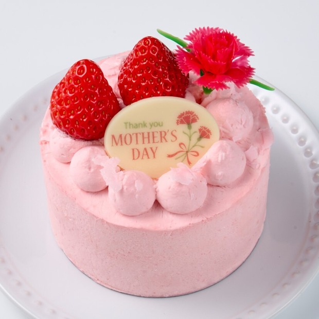 母の日 お花のプレゼントショート（税込907円）