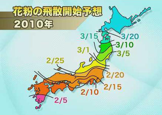 来春の花粉の飛散時期予想