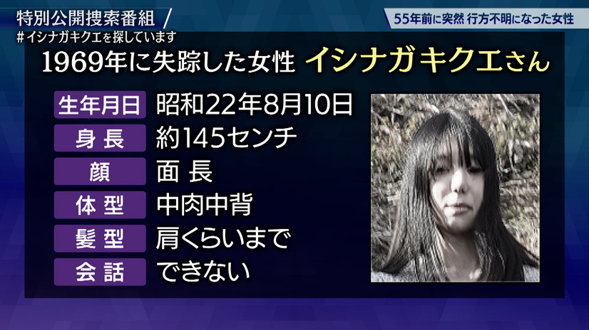 テレビ東京で放送されたモキュメンタリー番組『イシナガキクエを探しています』