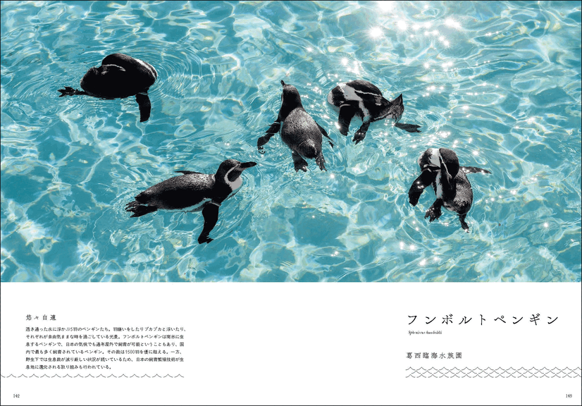 『水族館の美しい生きものたち －Aquarium Gradation－』株式会社KADOKAWA