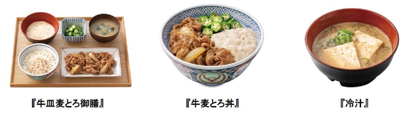 『牛皿麦とろ御膳』『牛麦とろ丼』『冷汁』