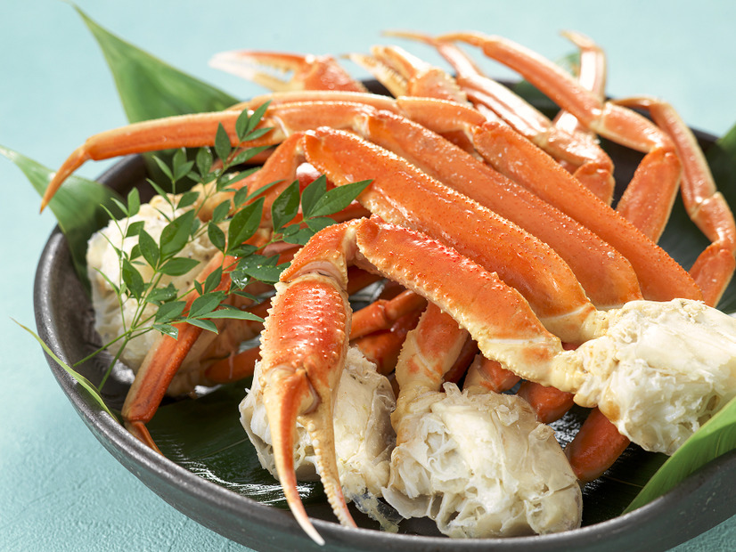 「万博気分を味わう 世界を巡る夏のディナー&スイーツブッフェ - Global Fusion Feast-A Summer Dinner & Sweets Buffet -」