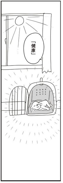 コミックエッセイ『おはよう、サンテ 不登校の私を救った愛犬との日々』原作：肥前ロンズ、漫画：むぴー（KADOKAWA）