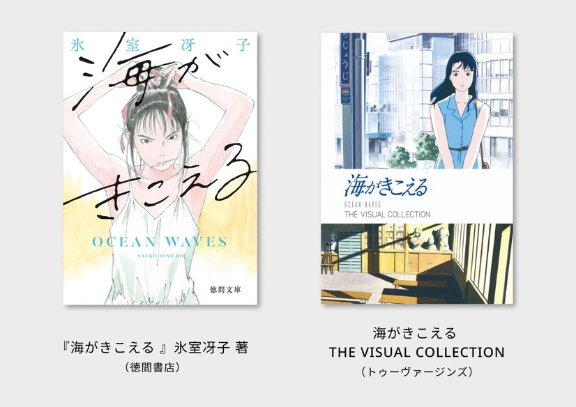 ビジュアルコレクション　（C） 1993 Saeko Himuro/Keiko Niwa/Studio Ghibli, N