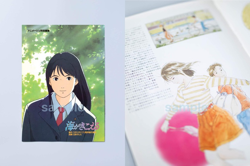 復刻パンフレット　（C） 1993 Saeko Himuro/Keiko Niwa/Studio Ghibli, N