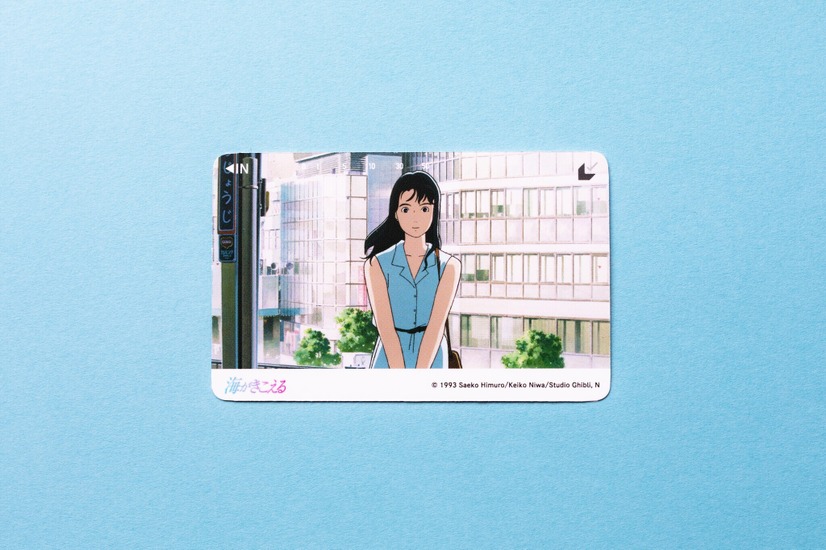 ムビチケカード　（C） 1993 Saeko Himuro/Keiko Niwa/Studio Ghibli, N