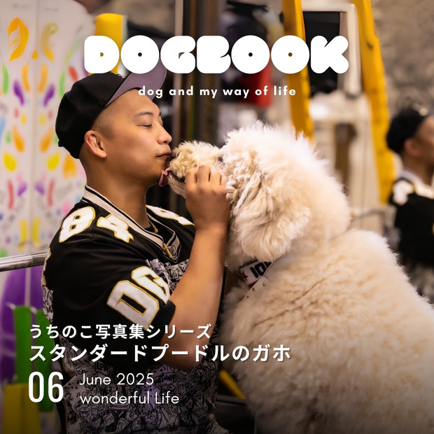 「うちのこ写真集」シリーズ第5弾『スタンダードプードルのガホ』（令和出版）