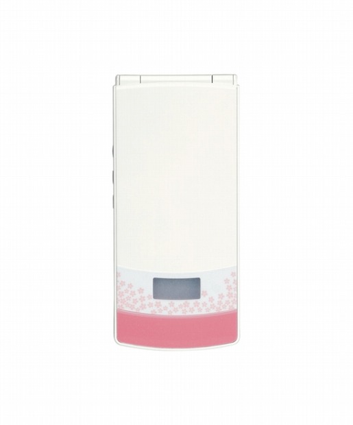 「docomo STYLE series N-01B マイセレクトモデル」カスタム例