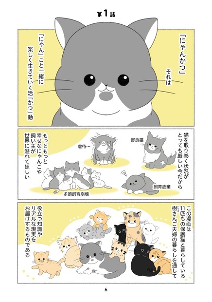 『にゃんかつ 11匹と2人の暮らし』（C）KADOKAWA