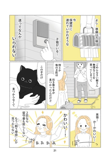 『にゃんかつ 11匹と2人の暮らし』（C）KADOKAWA