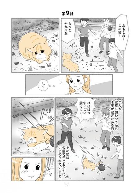 『にゃんかつ 11匹と2人の暮らし』（C）KADOKAWA
