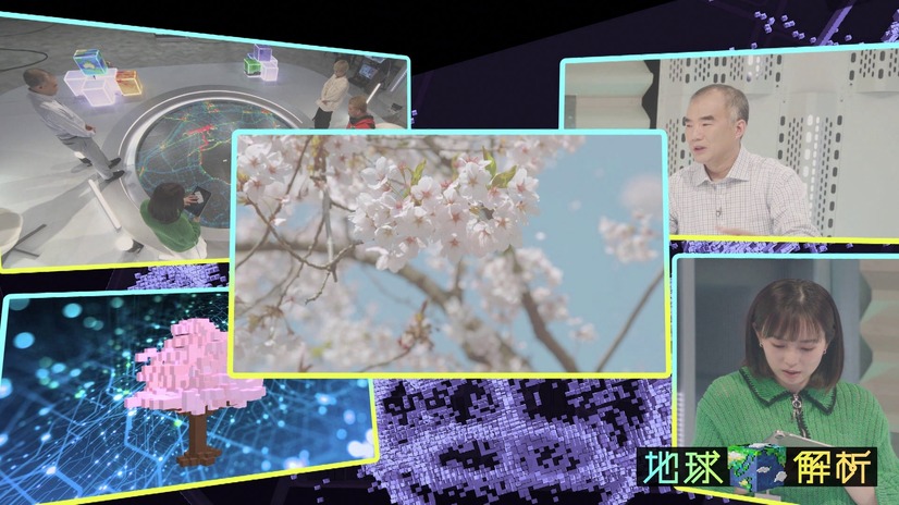 『地球解析～宇宙から探せ！究極の花見スポット～』（C）NHK
