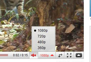 1080pの動画には4段階の画質選択項目が