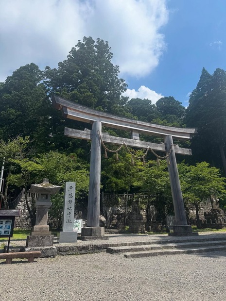 （写真は桜井日奈子の公式インスタグラムより）※所属事務所より掲載許諾をいただいています
