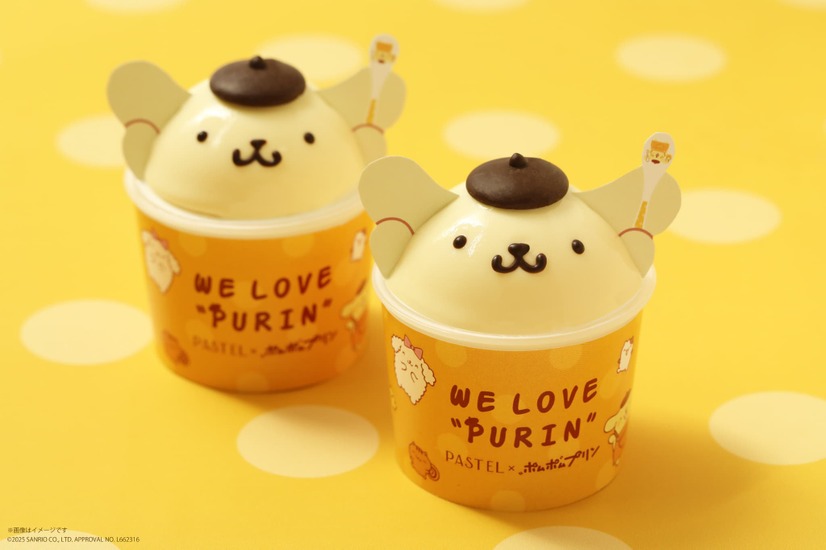 ©2025 SANRIO CO., LTD. APPROVAL NO. L662316