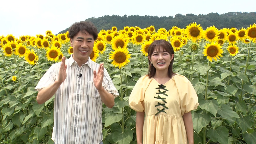 『新婚さんいらっしゃい！』（C）朝日放送テレビ