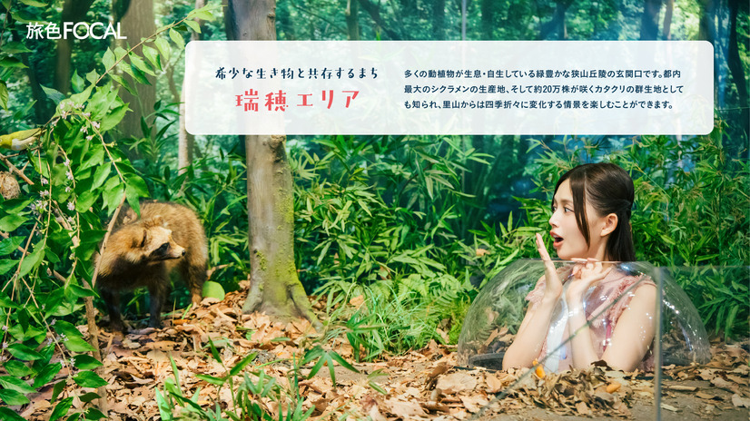 『旅色FOCAL』（C）ブランジスタメディア