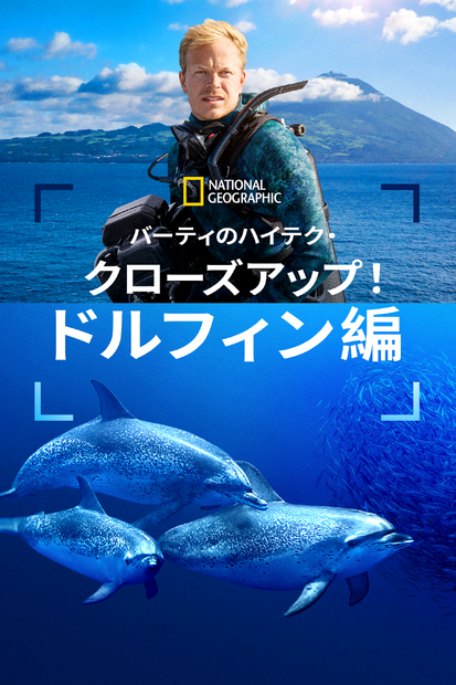 『バーティのハイテク・クローズアップ！ドルフィン編』ディズニープラスで9月19日(金)より独占配信© 2025 NGC Network US, LLC. All Rights Reserved.