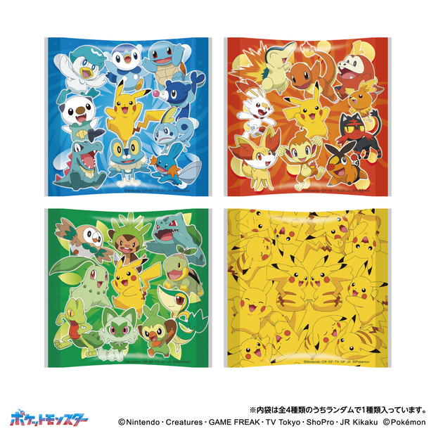 ©Nintendo・Creatures・GAME FREAK・TV Tokyo・ShoPro・JR Kikaku ©Pokémon