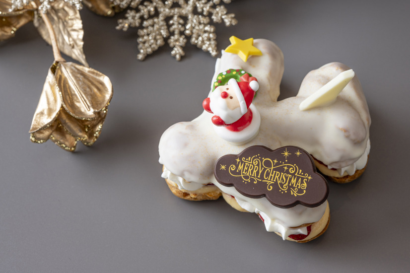 飛行機シュー クリスマスVer.　3,000円