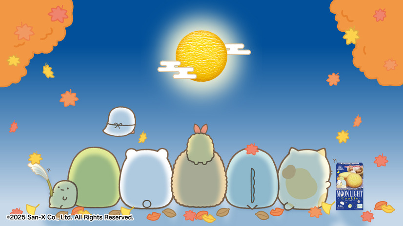 ©2025 San-X Co., Ltd. All Rights Reserved.