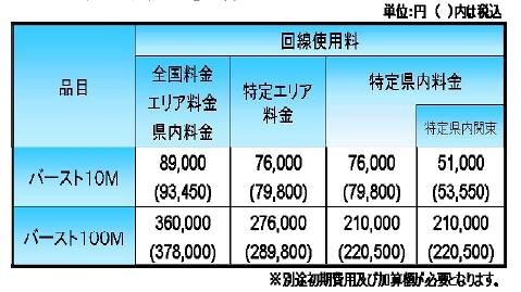 「バーストタイプアクセス」の料金
