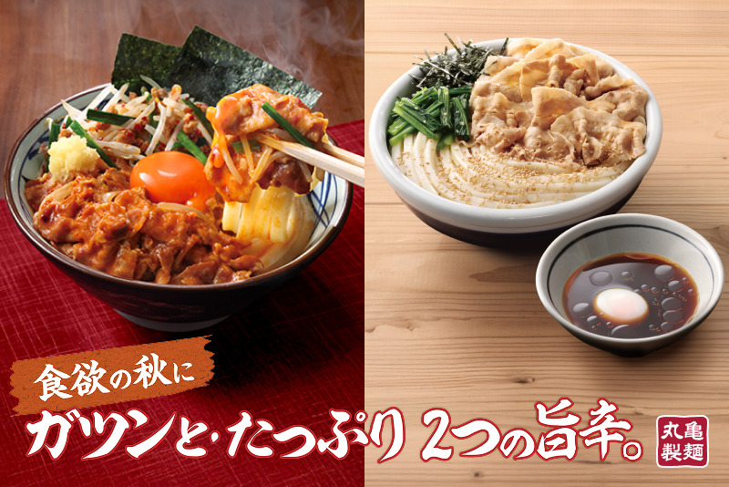 左：完全新作『旨辛 肉盛りニラ玉ぶっかけうどん』右：販売中『旨辛 豚つけ汁うどん』