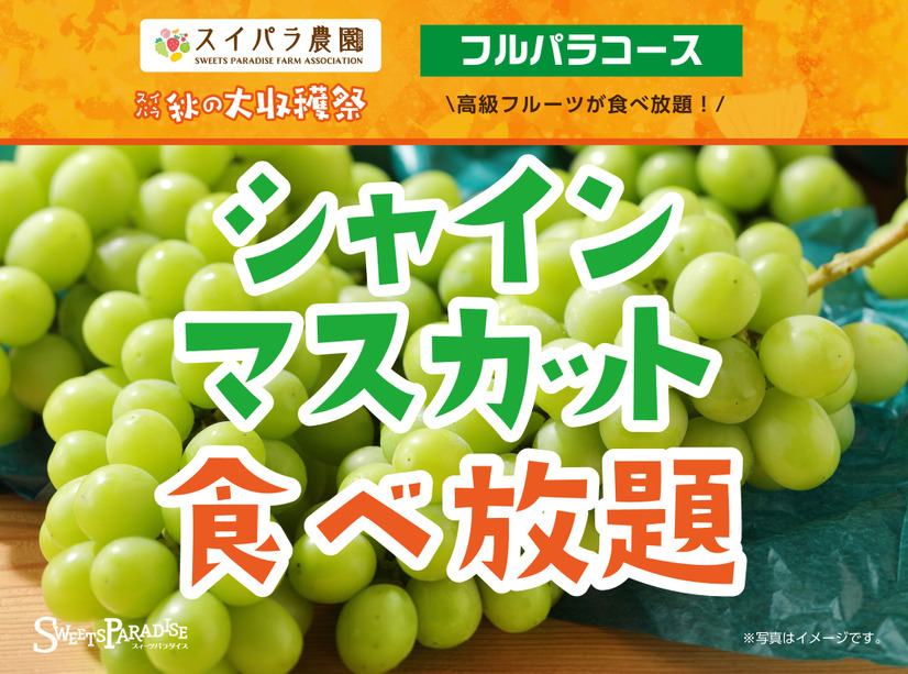 秋のご褒美フルーツ「シャインマスカット」も引き続き食べ放題