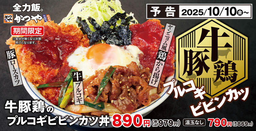 牛豚鶏のプルコギビビンカツ定食