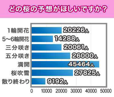 どの時期の桜の予想がほしいか