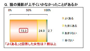 猫の撮影が上手くいかなかったことがあるか