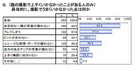 （猫の撮影で上手くいかなかったことがある人のみ）具体的に、撮影でうまくいかなかった点は何か