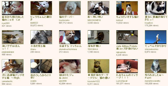 YouTube 動物チャンネル