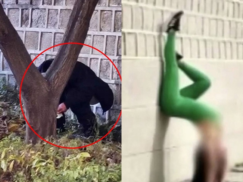 「最低限の礼儀守れ」ついに“排便”する姿まで　韓国の文化遺産一帯で外国人観光客の迷惑行為、大学教授が怒り